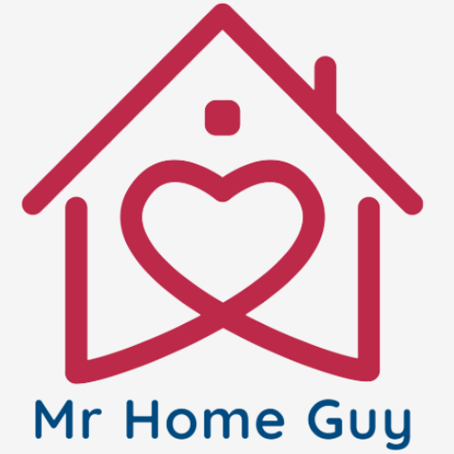 Mr Home Guy Favicon
